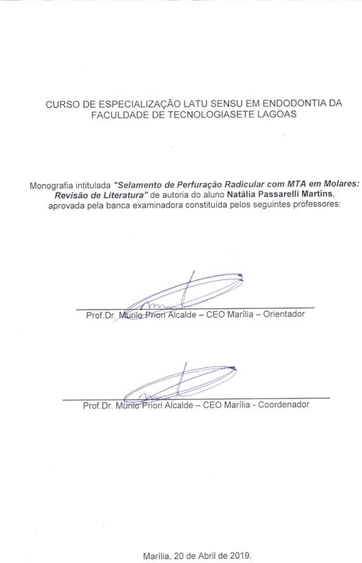 Natália Passarelli.jpg Natália Passarelli.jpg