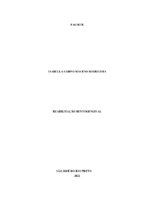 Isabela Maceno.pdf
