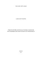 MONOGRAFIA LUCAS T . BUCO 2017.pdf