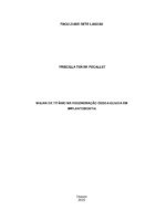 Priscilla Tokar Pocallet monografia 2020.pdf