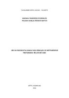 Mariana Figueiredo Rodrigues e Poliana Gonçalves dos Santos.pdf
