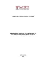 Larissa Lino Lourenço Ferreira Barreiros.pdf