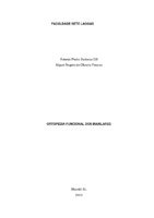 TCC Miguel e Pedro.pdf