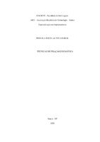 TCC Priscila Souza Alves Amaral.pdf
