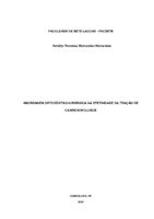 Aemilys.pdf