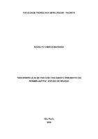 TCC Rodolfo.pt.pdf