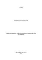 Leonardo Silverio.pdf