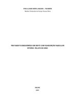 Natalia de Araujo Final.pdf