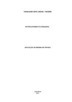 Patrícia Parizotto Nogueira_Monografia.pdf