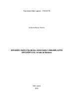 TCC Ariella de Sousa.pdf