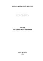 Monografia DRafaella.pdf