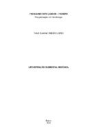 THAIS SUANNE RIBEIRO LOPES.pdf