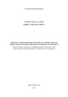 TCC  Sabrina e Daniele (1).pdf
