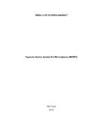 KEMILLY - TCC.pdf