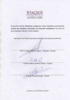 Sebastián_Alejandro_Ormeño_Retamal_Folha_Aprovação.pdf