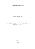 Prótese - Uruguacy Matos Silva Junior.pdf