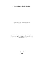 TCC - FORMATADO .pdf