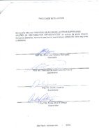 amanda bertolino.pdf