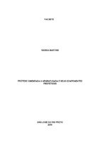 Raissa Martins.pdf