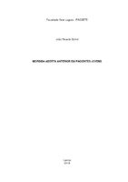 Monografia JOÃO RICARDO BOTREL.pdf
