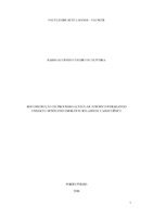 TCC.pdf
