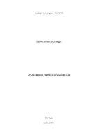 Monografia - Eduarda.pdf
