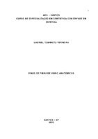 TCC Gabriel Tomimoto Ferreira.pdf