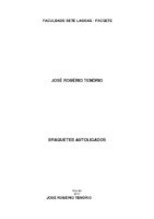 TCC ORIGINAL 10  - ROBERIO.pdf