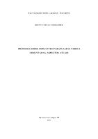 TCC Bruno.pdf