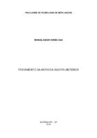 Manuel_Emidio_Monografia.pdf