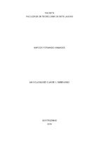 Monografia Marcos Kawagoe (2).pdf