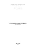 TCC ENDO Sara.pdf