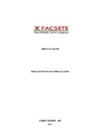 AMIRA OK.pdf