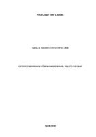 TCC Natália Diniz Melo Revorêdo Lima.pdf