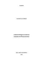 Juliano Drago.pdf