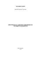 Monografia Manoela Petermann.pdf