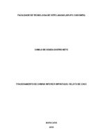 TCC - Camilo de Souza Castro Neto - FACSETE.pdf