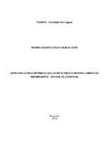 BRUNNO VALIM - TCC FINAL docx (5).pdf