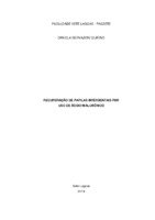 DANIELA GERVAZONI QUIRINO.pdf