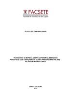 TCC - Flavio.pdf