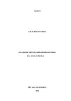Lucas Zinezi (1).pdf