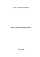 Larissa Junqueira.pdf